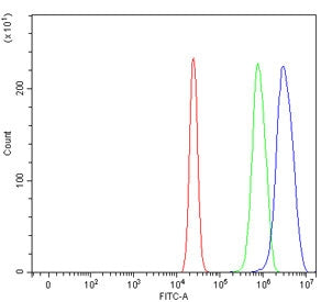 SERPINB13 Antibody / PI13