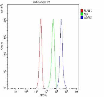 Flow Cytometry analysis of JK cells using anti-WDR55 antibody. Overlay histogram showing JK cells st