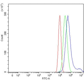 Flow cytometry testing of human PC-3 cells with TCPTP antibody at 1ug/million cells (blocked with go