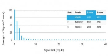 Analysis of a HuProt(TM) microarray containing more than 19,000 full-length human proteins using CD5