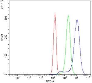 CD2 Antibody
