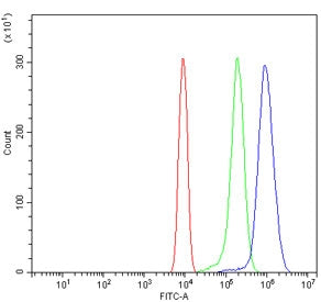 Flow cytometry testing of mouse ANA-1 cells with Dnmt3l antibody at 1ug/million cells (blocked with 