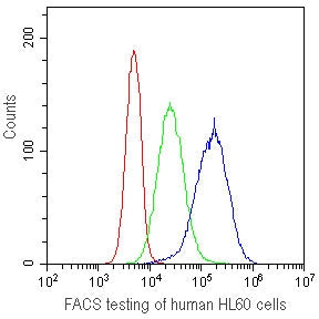 FACS testing of human HL60 cells with CD41 antibody at 1ug/10^6 cells. CD41 antibody (blue), isotype