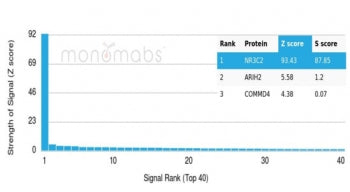 Analysis of a HuProt(TM) microarray containing more than 19,000 full-length human proteins using NR3