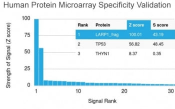 Analysis of HuProt(TM) microarray containing more than 19,000 full-length human proteins using p53 a