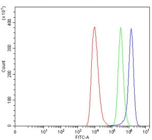 Flow cytometry testing of human HEL cells with TREML2 antibody at 1ug/million cells (blocked with go