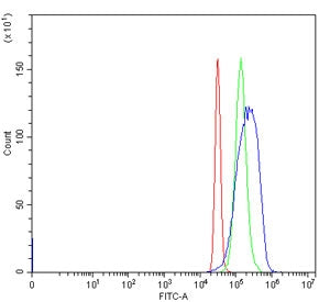 Flow cytometry testing of human HepG2 cells with ACSM3 antibody at 1ug/million cells (blocked with goat sera); Red=cells alone, Green=isotype control, Blue= ACSM3 antibody.