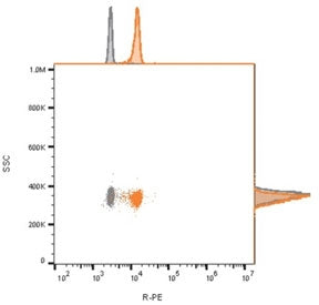 Flow cytometry analysis of bead-bound exosomes derived from MCF-7 cells using recombinant CD81 antib