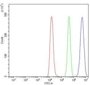 Flow cytometry testing of human Raji cells with CIITA antibody at 1ug/million cells (blocked with go