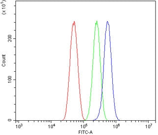 Sprouty 2 Antibody / SPRY2