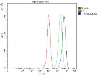 Flow Cytometry analysis of THP-1 cells using anti-TPCN2 antibody. Overlay histogram showing THP-1 ce