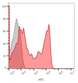 CD8A Antibody