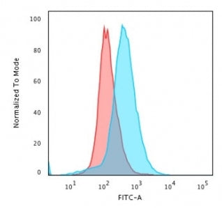 CD28 Antibody
