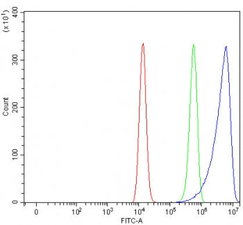 SELENON Antibody / Selenoprotein N / SELN / SEPN1