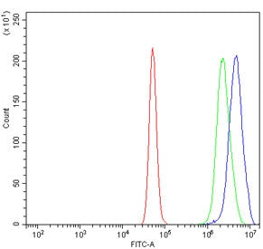 Flow cytometry testing of human A431 cells with Argonaute 1 antibody at 1ug/million cells (blocked w