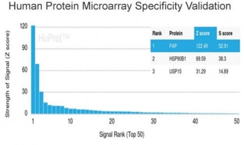 Analysis of HuProt(TM) microarray containing more than 19,000 full-length human proteins using FAP a
