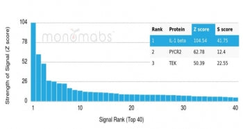 Analysis of a HuProt(TM) microarray containing more than 19,000 full-length human proteins using Int