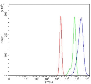 Flow cytometry testing of human Caco-2 cells with BRSK2 antibody at 1ug/million cells (blocked with 