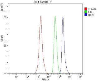 Flow Cytometry analysis of SH-SY5Y cells using anti-TBR1 antibody. Overlay histogram showing SH-SY5Y