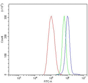Flow cytometry testing of human ThP-1 cells with GRB10 antibody at 1ug/million cells (blocked with g