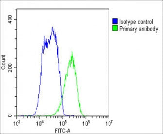 Flow cytometry testing of fixed human HepG2 cells with SLC10A1 antibody; Blue=isotype control, Green