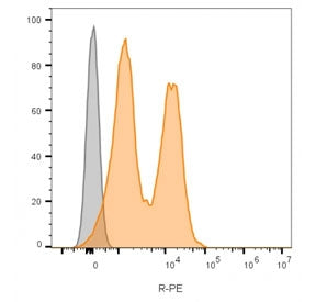 NCAM / CD56 Antibody