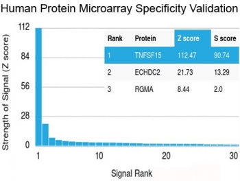 Analysis of HuProt(TM) microarray containing more than 19,000 full-length human proteins using recom