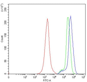 Flow cytometry testing of human Jurkat cells with GAS2 antibody at 1ug/million cells (blocked with g