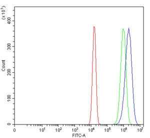 Flow cytometry testing of human U-2 OS cells with eIF-3 p48 antibody at 1ug/million cells (blocked w