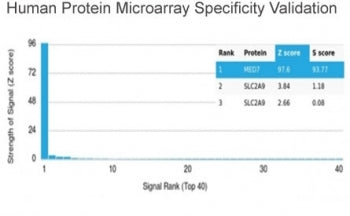 Analysis of HuProt(TM) microarray containing more than 19,000 full-length human proteins using MED7 