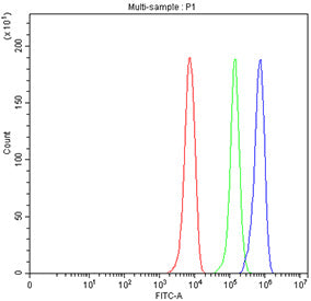 Flow cytometry testing of fixed and permeabilized human HepG2 cells with SKP2 antibody at 1ug/millio