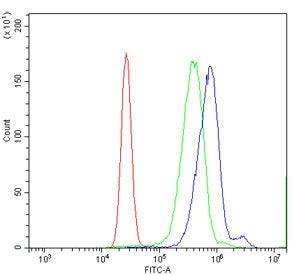 Flow cytometry testing of human K562 cells with Sentrin-specific protease 1 antibody at 1ug/million 
