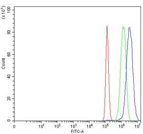 Flow cytometry testing of human PC-3 cells with Growth factor receptor bound protein 2 antibody at 1