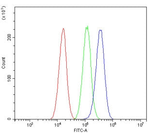 Flow cytometry testing of human A549 cells with ALDH2 antibody at 1ug/million cells (blocked with go