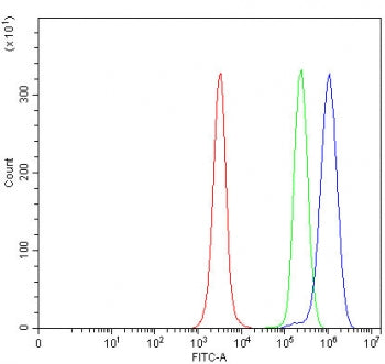 Flow cytometry testing of fixed and permeabilized human JK cells with MFSD13A antibody at 1ug/millio