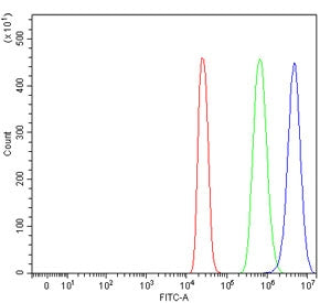 PPP1R15B Antibody / Protein phosphatase 1 regulatory subunit 15B