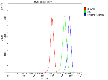 Flow Cytometry analysis of THP-1 cells using anti-TMED8 antibody. Overlay histogram showing THP-1 ce