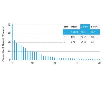 Analysis of a HuProt(TM) microarray containing more than 19,000 full-length human proteins using Int