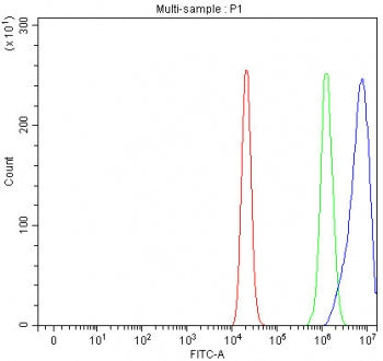 Flow cytometry testing of fixed and permeabilized human ThP-1 cells with INPP5D antibody at 1ug/mill