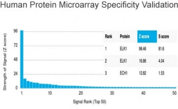 Analysis of HuProt(TM) microarray containing more than 19,000 full-length human proteins using ELK1 