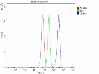 Flow Cytometry analysis of HepG2 cells using anti-ADH6 antibody. Overlay histogram showing HepG2 cel