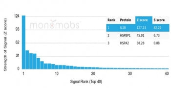 Analysis of a HuProt(TM) microarray containing more than 19,000 full-length human proteins using IL-