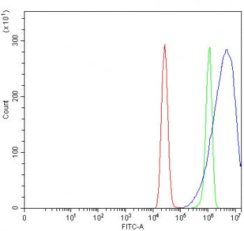 PRSS8 Antibody / Prostasin