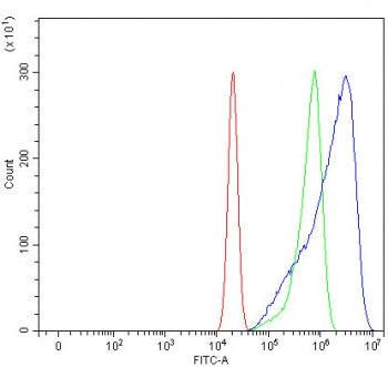 SHROOM2 Antibody / APXL