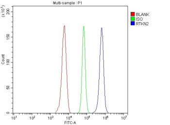 Flow Cytometry analysis of Raji cells using anti-RTKN2 antibody. Overlay histogram showing Raji cell