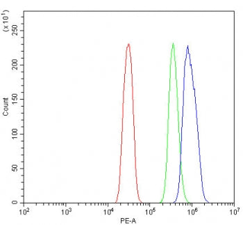 RNF212 Antibody / RING finger protein 212