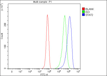 Flow Cytometry analysis of K562 cells using anti-STAT2 antibody. Overlay histogram showing K562 cell