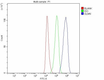 Flow Cytometry analysis of 293T cells using anti-GLMN antibody. Overlay histogram showing 293T cells