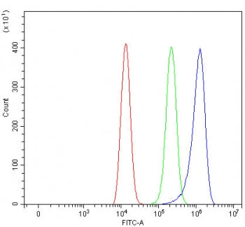 SIGLEC12 Antibody