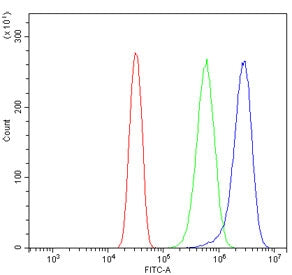 Flow cytometry testing of human U-2 OS cells with SCN2A antibody at 1ug/million cells (blocked with 